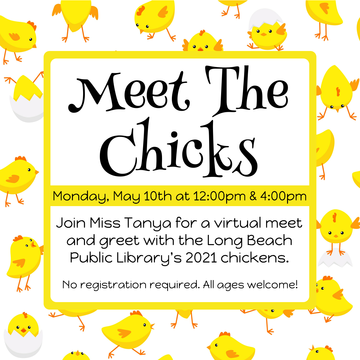Meet the Chicks