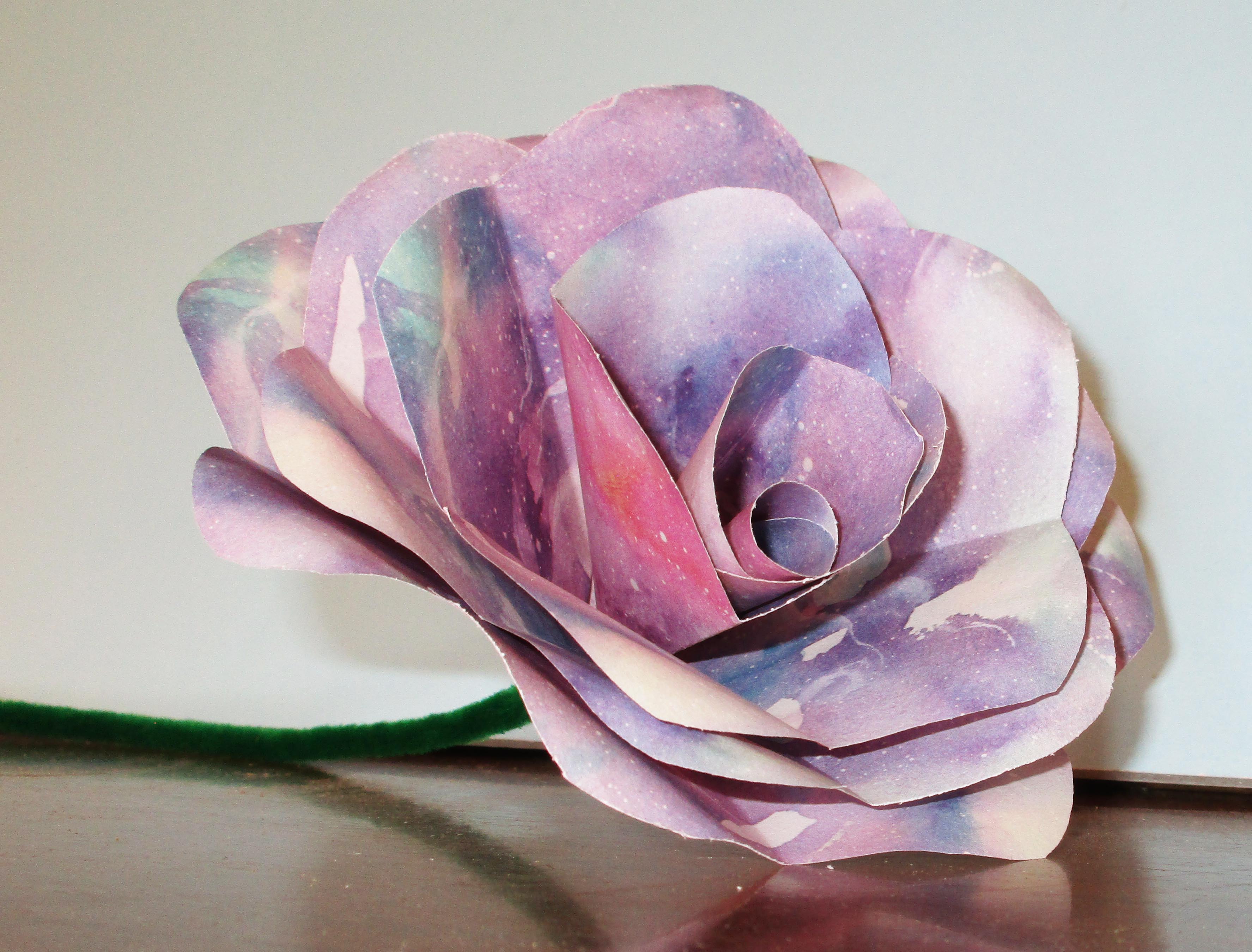 Galaxy Paper Rose