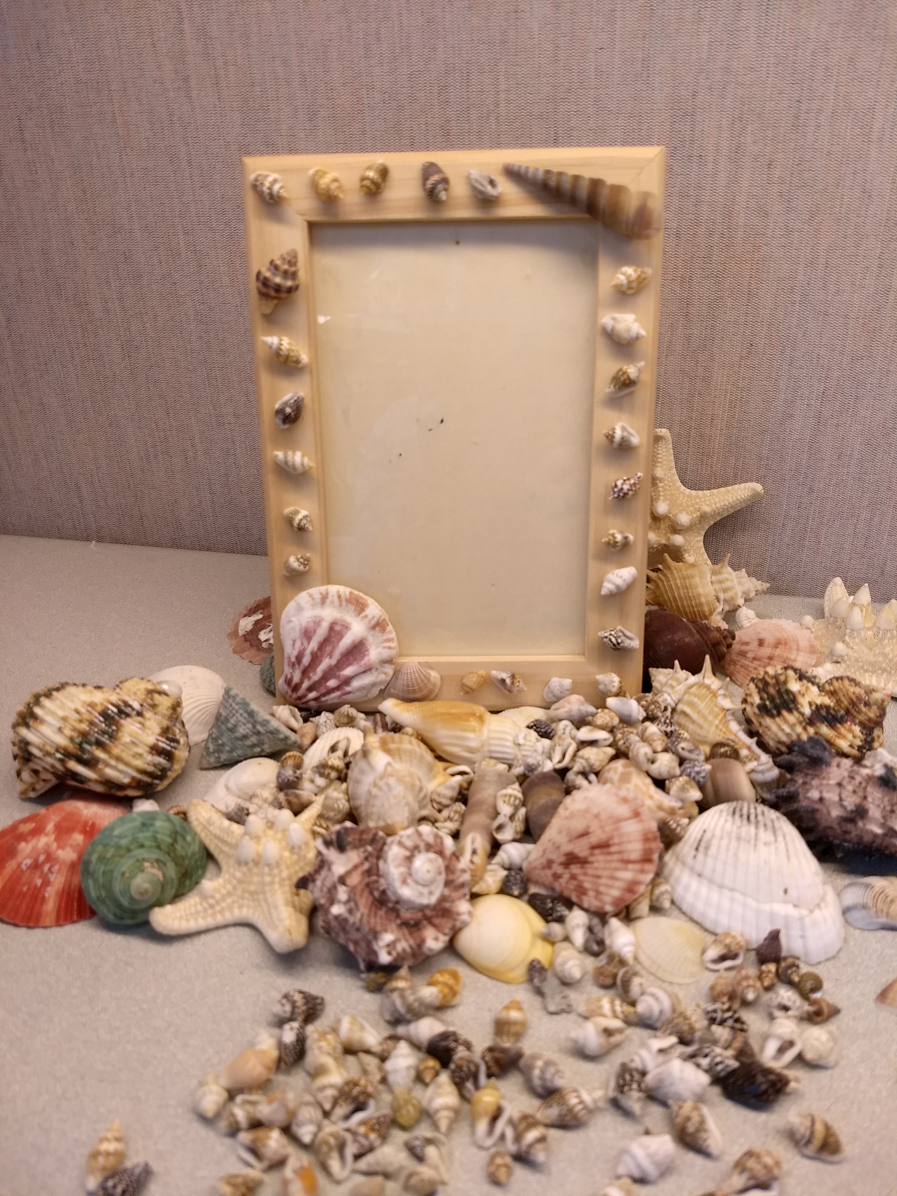 frame decorated with seashells, surrounded by more shells
