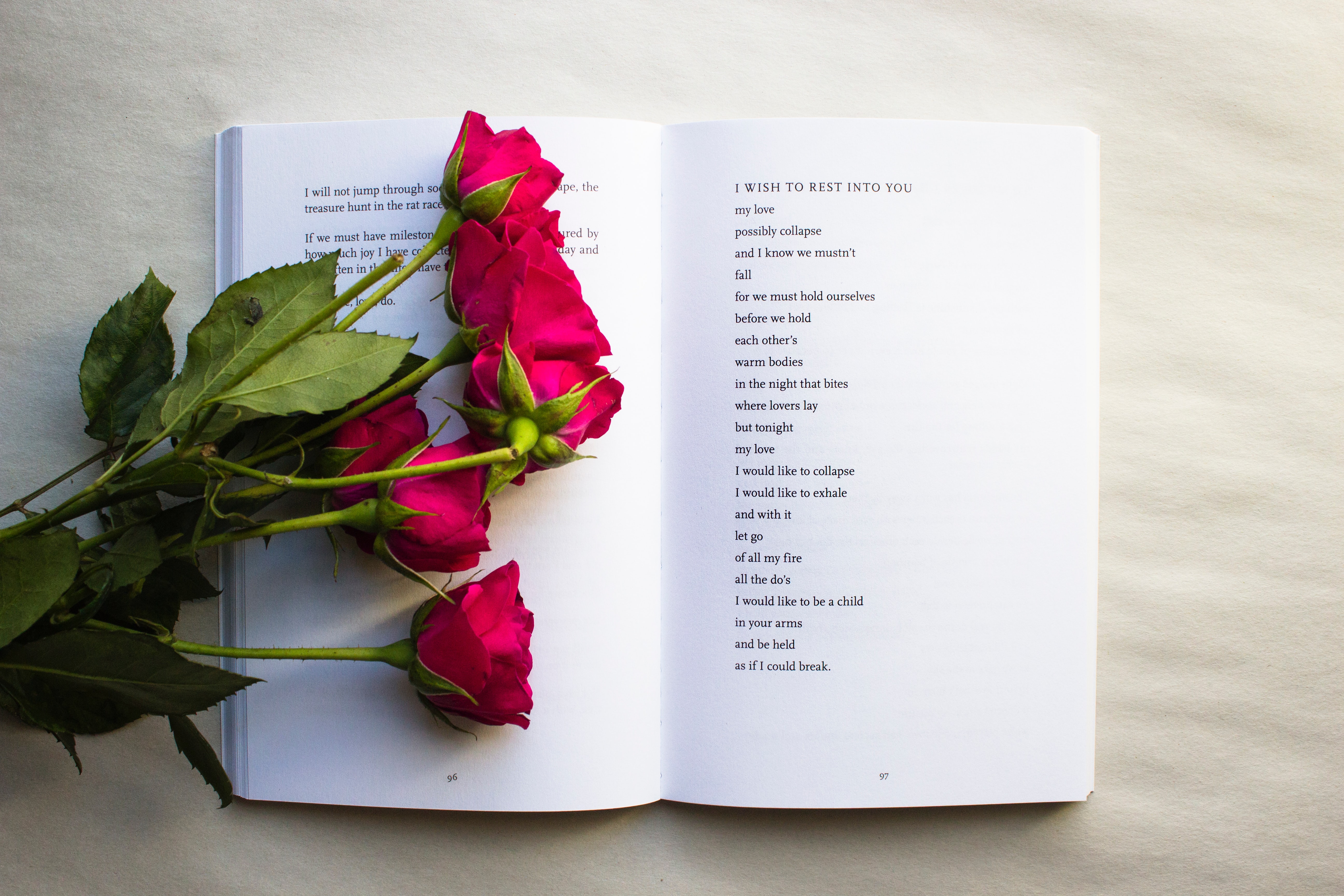 Poetry with roses photo by Thought Catalog