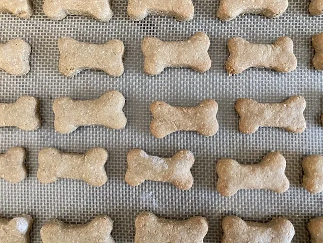dog treats on a baking sheet