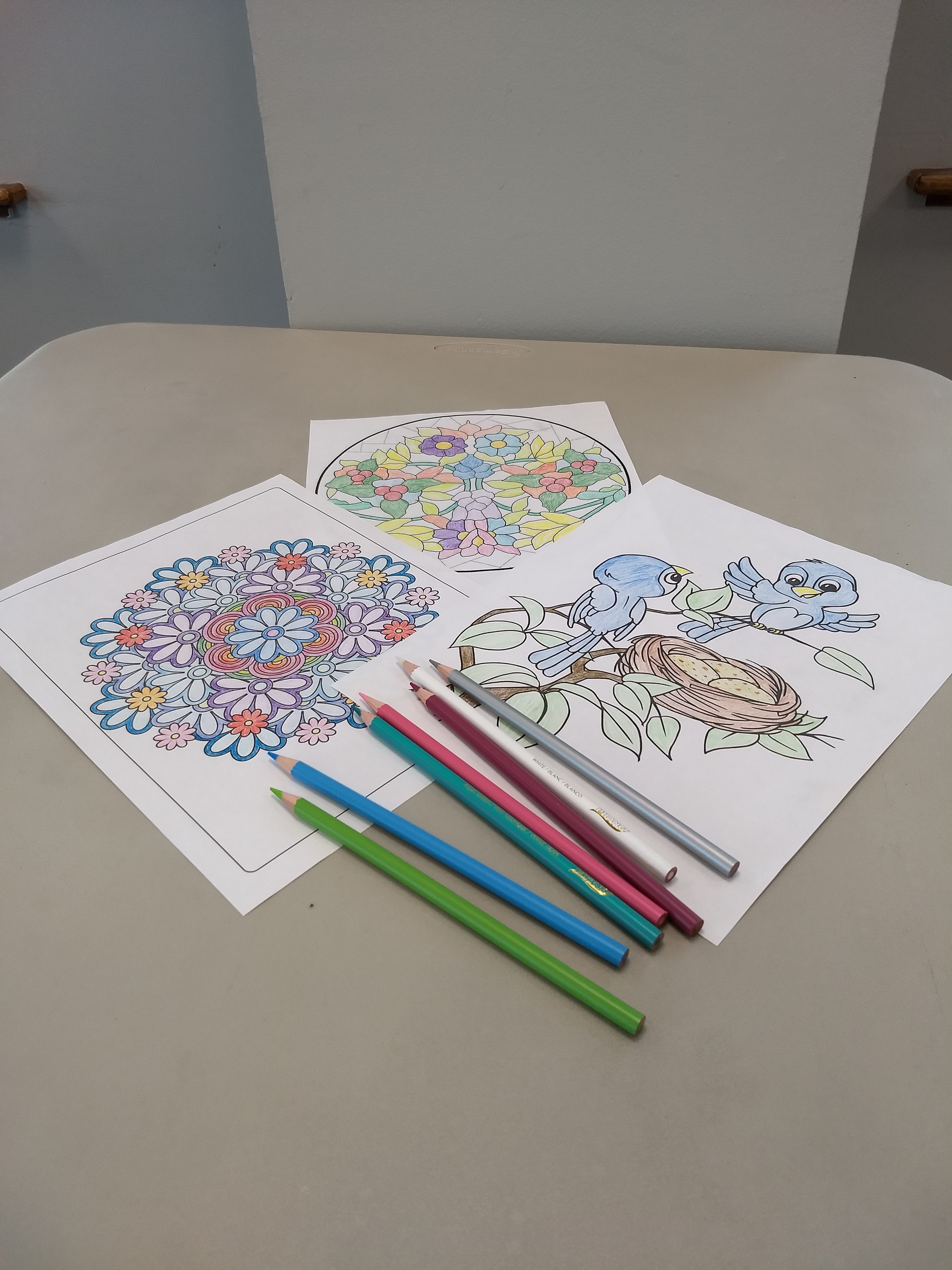 Easy Art for Adults: Fall Coloring (In Person)