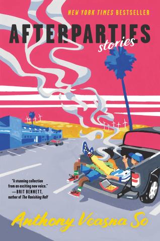 book cover with pink sky parking lot and afterparties written on top