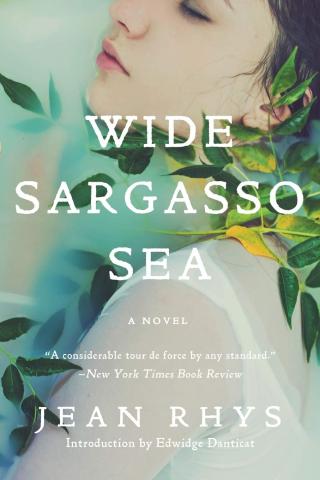 The Wide Sargasso Sea by Jean Rhys