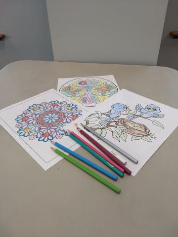 coloring pages with flowers and birds, and colored pencils