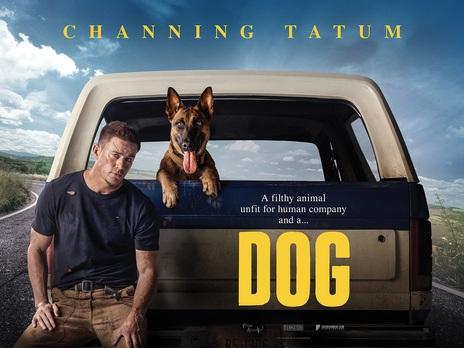 man crouching in back of truck with dog in back