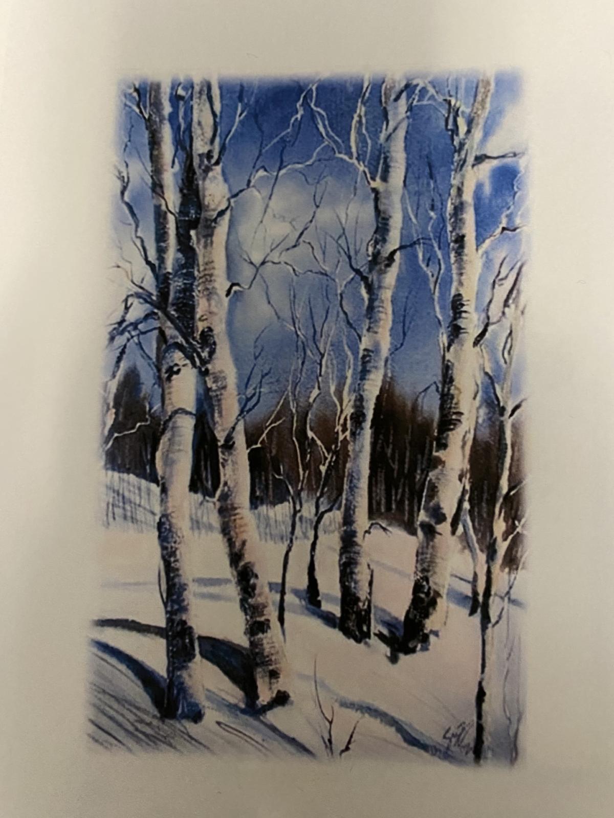 Birch Trees December