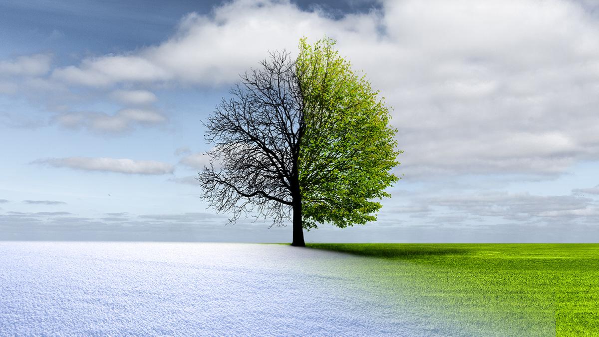 spring 